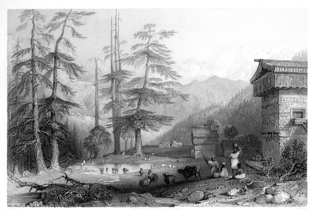 Cultural and Scientific Engagement