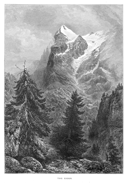 Investment Philosphy